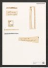 Dickieia crucigera W. Sm. (de-Toni-Nr.: Genus 22, Species 1240) Zeichnungen Sammlung Grunow (NHMW-BOT-W0369514)